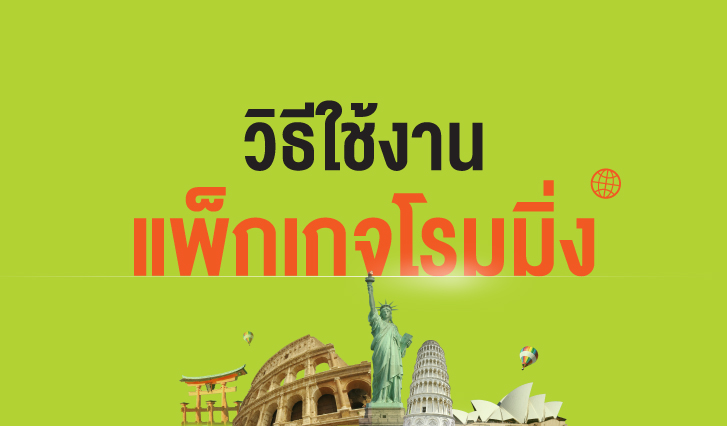 วิธีใช้งานโรมมิ่งเอไอเอส