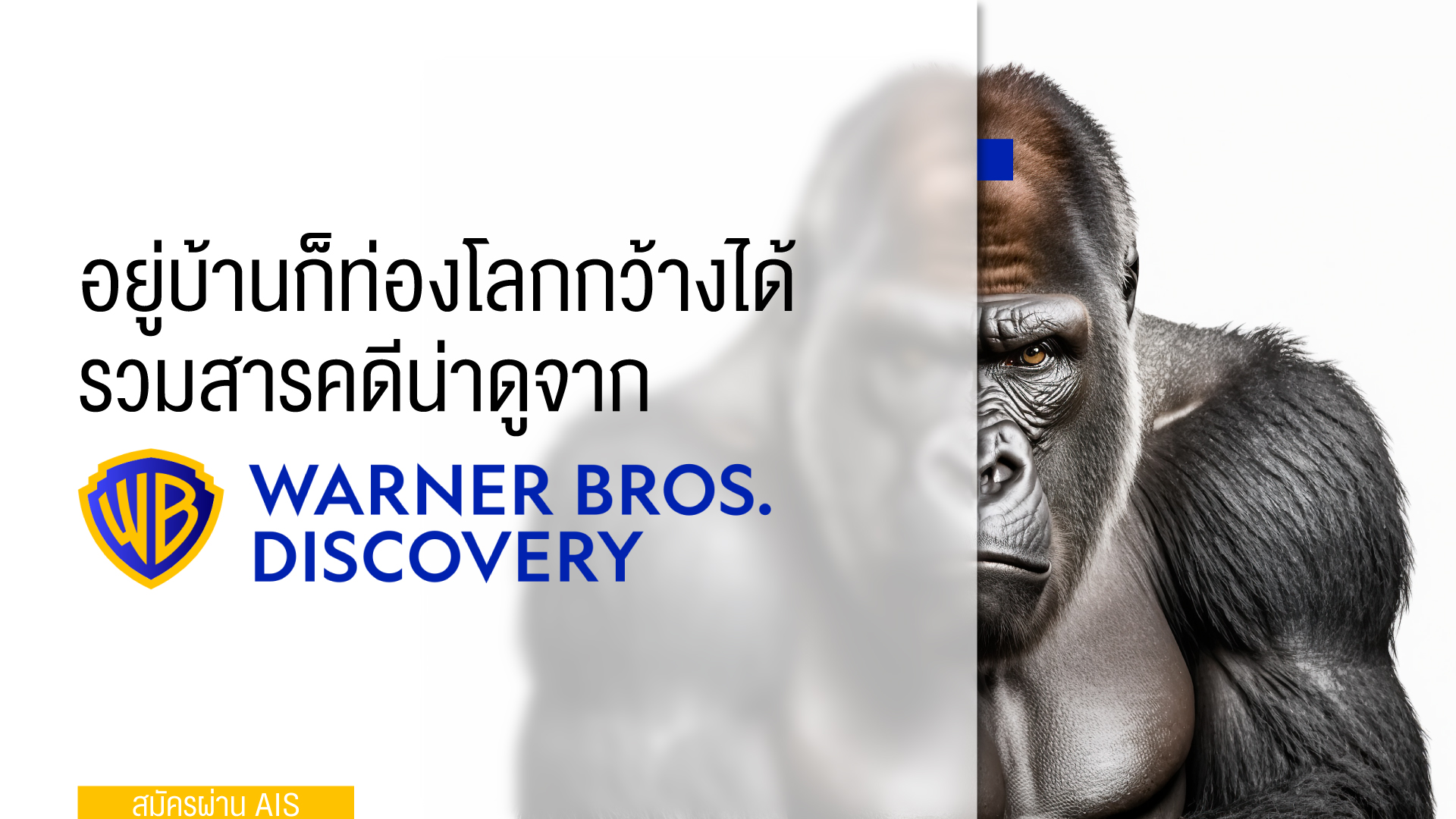 อยู่บ้านก็ท่องโลกกว้างได้ รวมสารคดีน่าดูจาก Warner Bros. Discovery