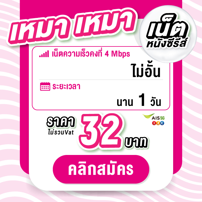 maomao_1day_ul4mb