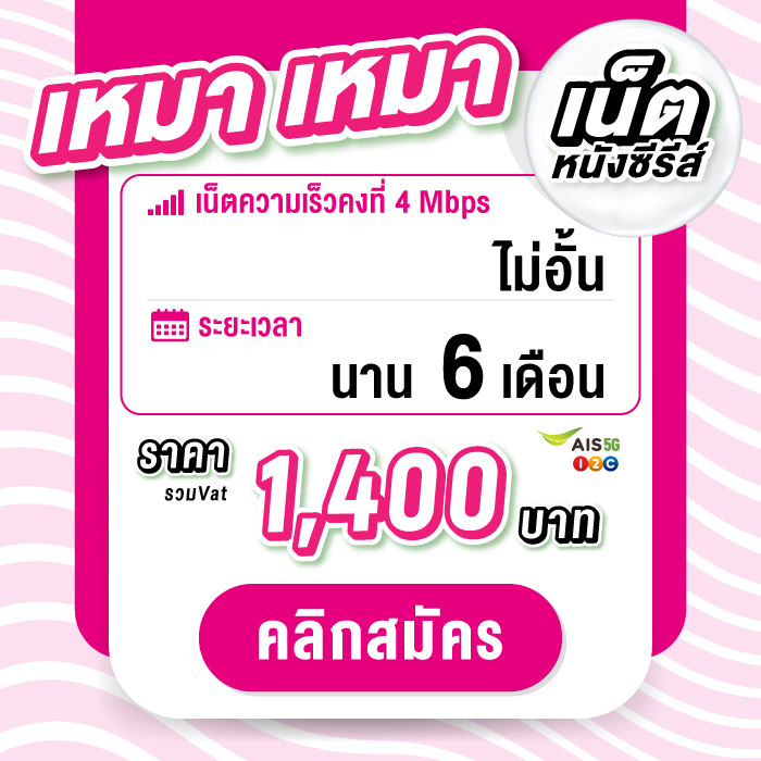 maomao_6month_ul4mb